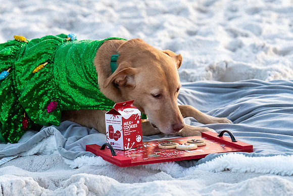 DSC_5558