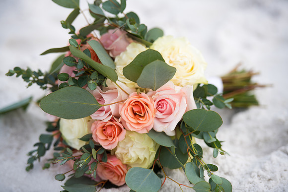 Feb 24, 2018 (108)